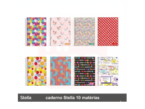 Caderno 10 Matérias